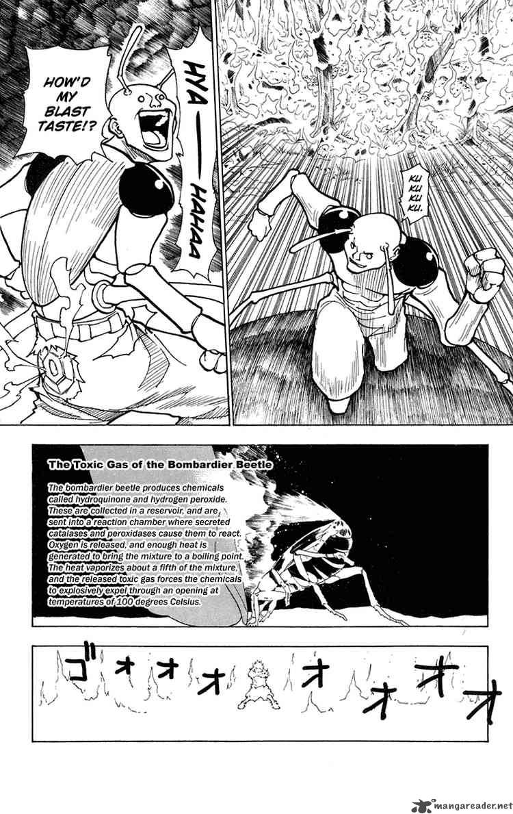 Chapter 236 - Page 11