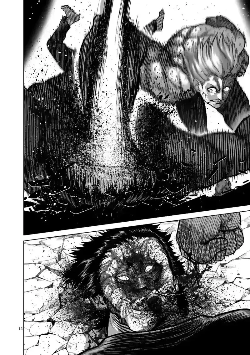 Chapter 80 - Page 14
